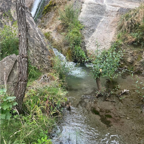 Meet your Posher, Cathy - Picture 1 of 1